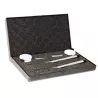 KIT DE RÉVISION POUR ONDES DE CHOC (RPW)