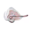 MODÈLE DE FTUS