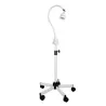 LAMPE LED CARLA "LUMIÈRE FROIDE" LID