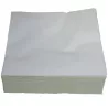 SERVIETTES LUNCH BLANCHE 2 PLIS