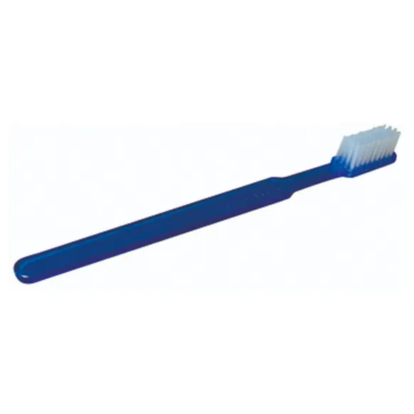BROSSE A DENT AVEC DENTIFRICE LOT DE 100