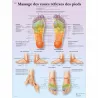 PLANCHES ANATOMIQUES MASSAGE DES ZONES REFLEXES DES PIEDS