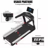 TAPIS DE COURSE PROFESSIONNEL ZEPHYR 24 KM/H CARE - usage professionnel