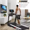 TAPIS DE COURSE PROFESSIONNEL ZEPHYR 24 KM/H CARE - usage professionnel