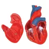 COEUR CLASSIQUE