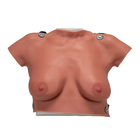 MODÈLE DE PALPATION MAMMAIRE