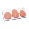 MODÈLE DE PALPATION MAMMAIRE 3 SEINS