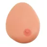 MODÈLE DE PALPATION MAMMAIRE 3 SEINS