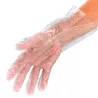 GANTS POLYÉTHYLÈNE (100)