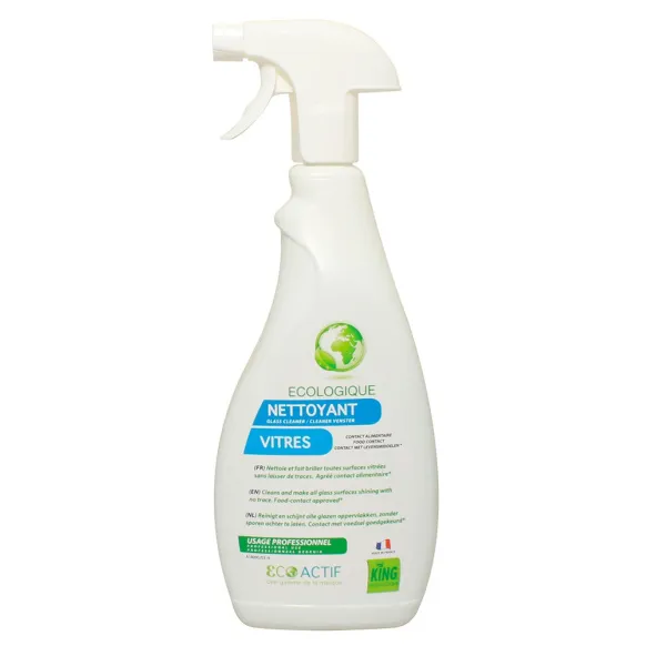 NETTOYANT VITRES KING