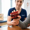 POIGNÉE DE FORCE GRIPMASTER ERGONOMIQUE RÉÉDUCATION MAIN - plusieurs résistances