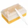 BROSSE CHIRURGICALE SCRUB