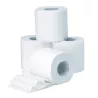 PAPIER TOILETTE EN ROULEAUX