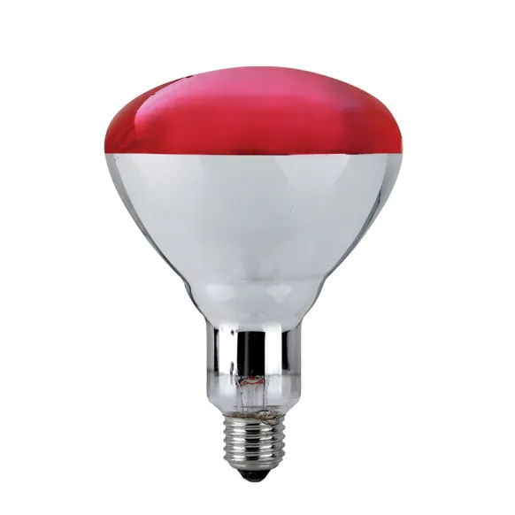 AMPOULE INFRAROUGE 250W