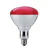 AMPOULE INFRAROUGE 250W