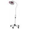 LAMPE INFRAROUGE 250 W LID